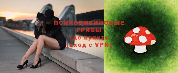первитин Кукмор